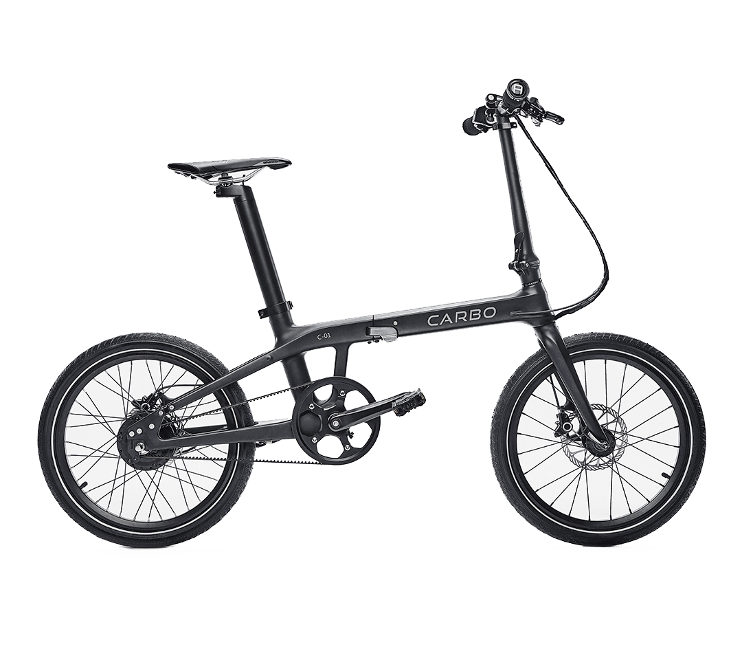 CARBO E-BIKE F